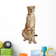 Cheetah Acinonyx Jubatus 18 Wall Decal Design 1