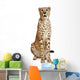 Cheetah Acinonyx Jubatus 18 Wall Decal Design 1