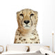 Close-up Cheetah Wall Decal