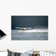 Sea Plane Wall Decal Design 2