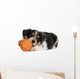 Collie Puppy Basketball Wall Decal