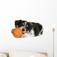 Collie Puppy Basketball Wall Decal