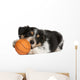 Collie Puppy Basketball Wall Decal