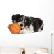 Collie Puppy Basketball Wall Decal