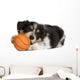 Collie Puppy Basketball Wall Decal