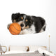 Collie Puppy Basketball Wall Decal