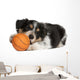 Collie Puppy Basketball Wall Decal