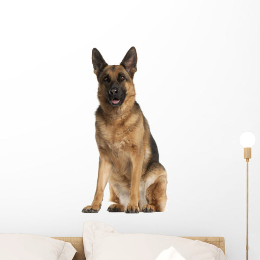 German Shepherd Dog 4 Wall Decal