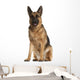 German Shepherd Dog 4 Wall Decal