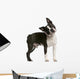 Boston Terrier 1 Year Wall Decal