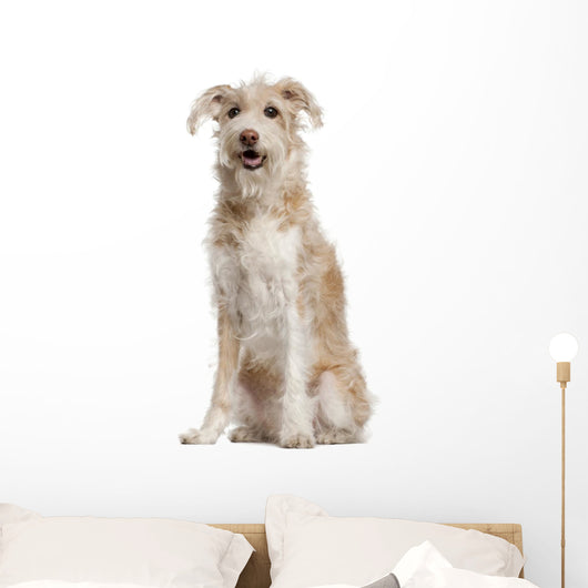 Mixed-breed Dog 14 Years Wall Decal