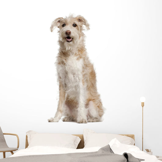 Mixed-breed Dog 14 Years Wall Decal