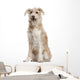 Mixed-breed Dog 14 Years Wall Decal