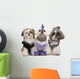 Three Shih Tzus Dressed up Wall Decal