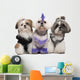 Three Shih Tzus Dressed up Wall Decal
