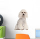 Poodle 2 Years Old Wall Decal