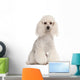 Poodle 2 Years Old Wall Decal