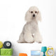 Poodle 2 Years Old Wall Decal