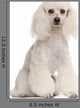 Poodle 2 Years Old Wall Decal