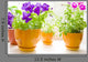 Flowers Wall Decal Design 2