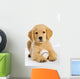 Golden Retriever Puppy with Wall Decal