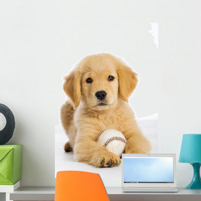 Golden Retriever Puppy with Wall Decal shown on a wall