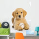 Golden Retriever Puppy with Wall Decal