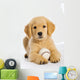 Golden Retriever Puppy with Wall Decal