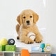 Golden Retriever Puppy with Wall Decal