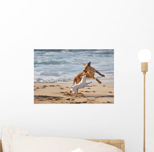 Dogs Playing Beach Wall Decal