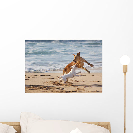 Dogs Playing Beach Wall Decal