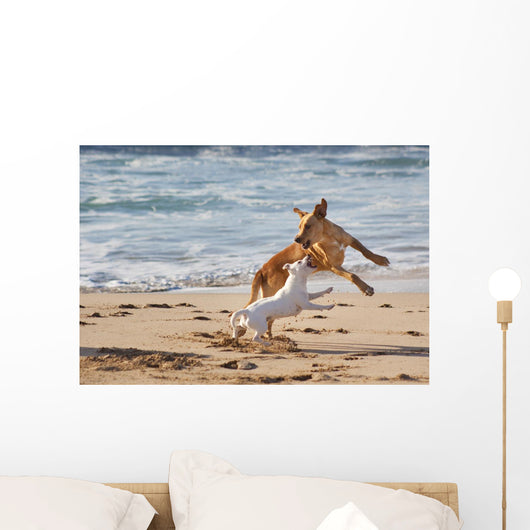 Dogs Playing Beach Wall Decal