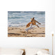 Dogs Playing Beach Wall Decal