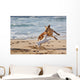 Dogs Playing Beach Wall Decal