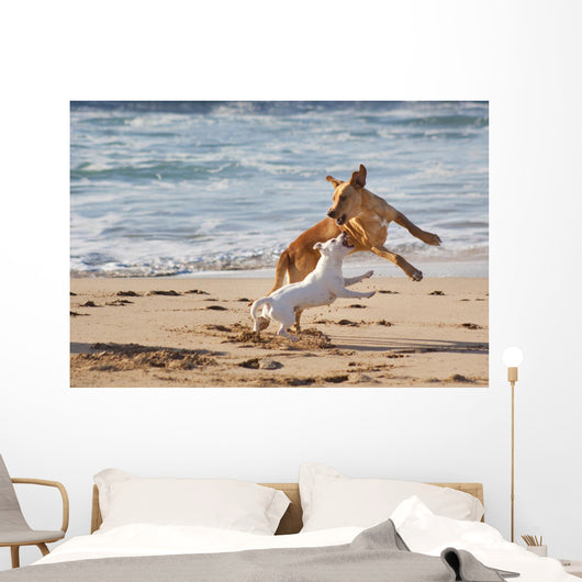 Dogs Playing Beach Wall Decal