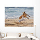 Dogs Playing Beach Wall Decal