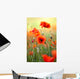 Red Poppy Wall Decal Design 2