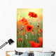 Red Poppy Wall Decal Design 2