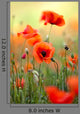 Red Poppy Wall Decal Design 2