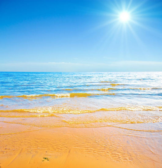 Shore Resort Summer Wall Decal