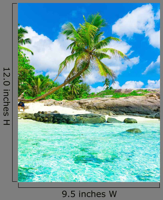 Coast Horizon Palms Wall Decal