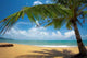 Tropic Beach Wall Decal