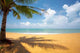 Palm Beach Wall Decal