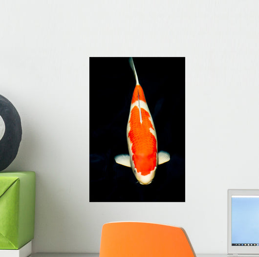 Kohaku Koi Wall Decal