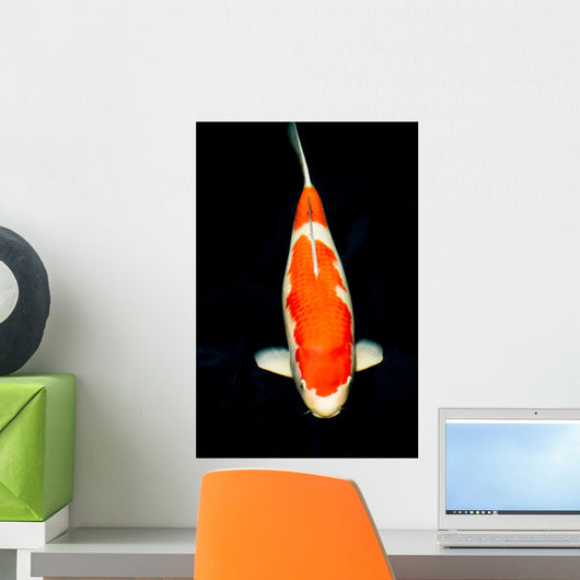 Kohaku Koi Wall Decal