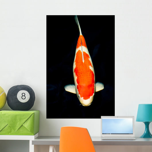 Kohaku Koi Wall Decal