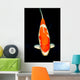 Kohaku Koi Wall Decal