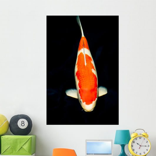 Kohaku Koi Wall Decal