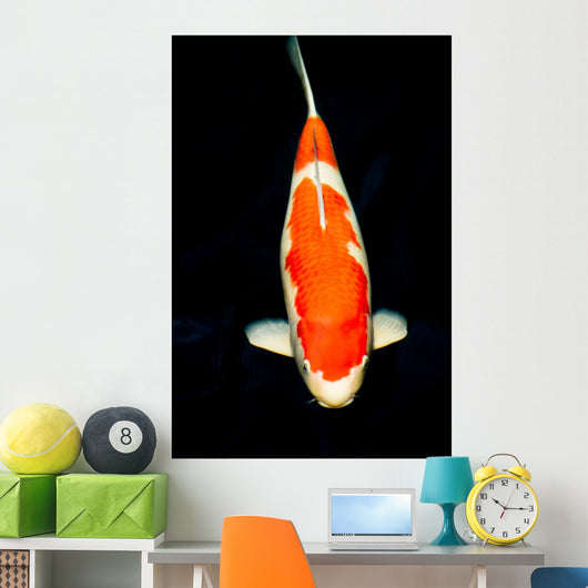 Kohaku Koi Wall Decal