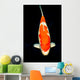 Kohaku Koi Wall Decal